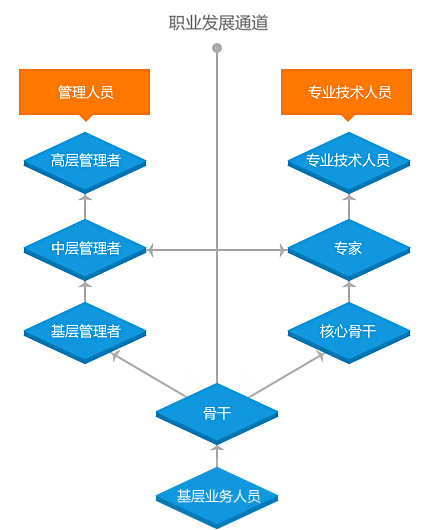 職業發展通道示意圖